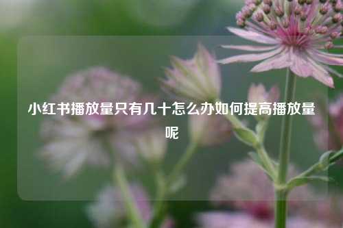 小红书播放量只有几十怎么办如何提高播放量呢  第1张