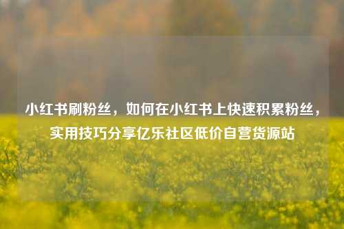 小红书刷粉丝，如何在小红书上快速积累粉丝，实用技巧分享亿乐社区低价自营货源站  第1张