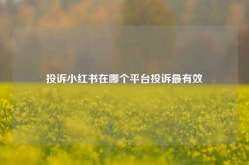 投诉小红书在哪个平台投诉最有效  第1张