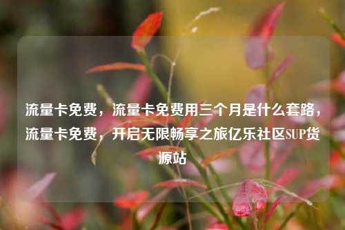 流量卡免费，流量卡免费用三个月是什么套路	，流量卡免费，开启无限畅享之旅亿乐社区SUP货源站  第1张
