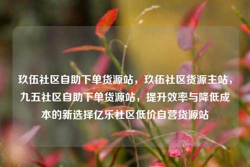 玖伍社区自助下单货源站	，玖伍社区货源主站，九五社区自助下单货源站，提升效率与降低成本的新选择亿乐社区低价自营货源站  第1张