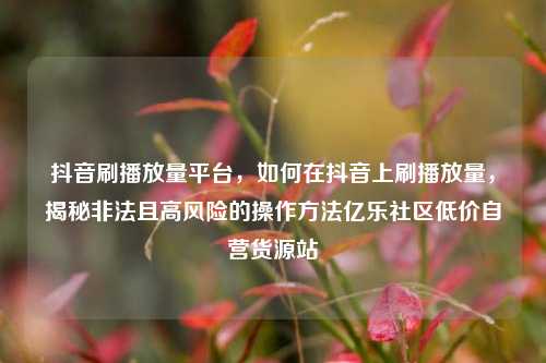 抖音刷播放量平台，如何在抖音上刷播放量，揭秘非法且高风险的操作方法亿乐社区低价自营货源站  第1张