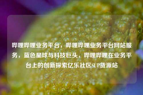 哔哩哔哩业务平台，哔哩哔哩业务平台网站服务	，蓝色星球与科技巨头，哔哩哔哩在业务平台上的创新探索亿乐社区SUP货源站  第1张