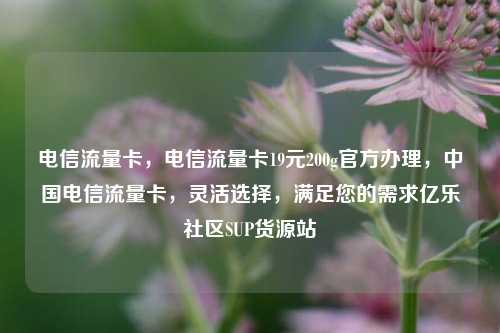 电信流量卡	，电信流量卡19元200g官方办理，中国电信流量卡，灵活选择	，满足您的需求亿乐社区SUP货源站  第1张