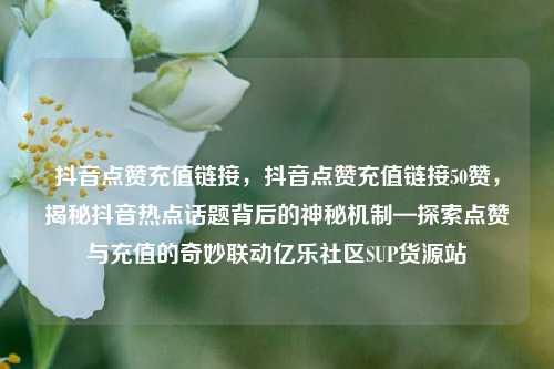 抖音点赞充值链接，抖音点赞充值链接50赞，揭秘抖音热点话题背后的神秘机制—探索点赞与充值的奇妙联动亿乐社区SUP货源站  第1张
