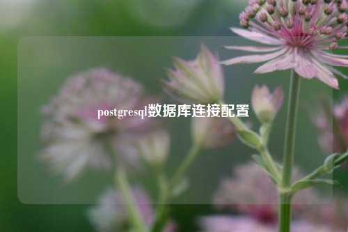 postgresql数据库连接配置  第1张