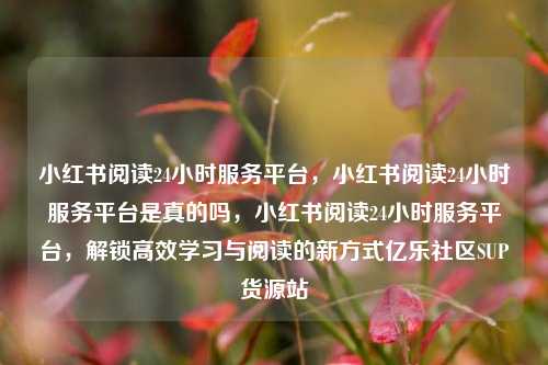 小红书阅读24小时服务平台，小红书阅读24小时服务平台是真的吗，小红书阅读24小时服务平台	，解锁高效学习与阅读的新方式亿乐社区SUP货源站  第1张