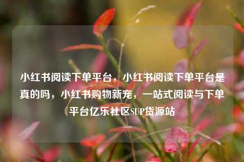小红书阅读下单平台，小红书阅读下单平台是真的吗，小红书购物新宠	，一站式阅读与下单平台亿乐社区SUP货源站  第1张