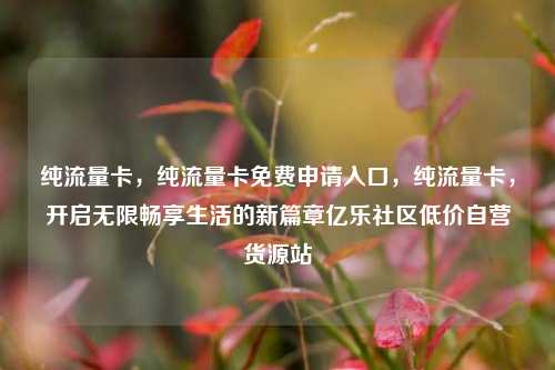 纯流量卡，纯流量卡免费申请入口	，纯流量卡，开启无限畅享生活的新篇章亿乐社区低价自营货源站  第1张