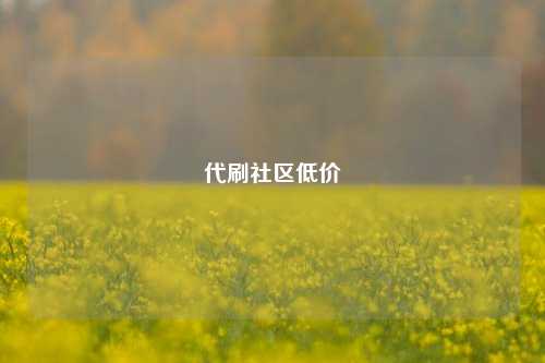 代刷社区低价  第1张