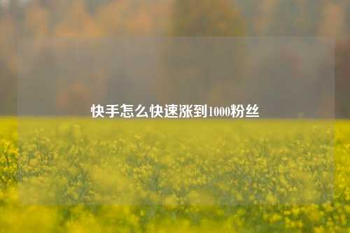 快手怎么快速涨到1000粉丝  第1张