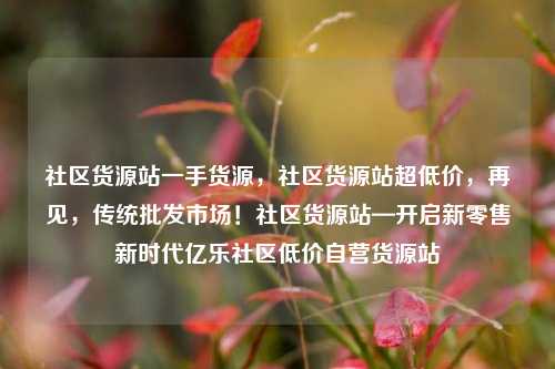 社区货源站一手货源	，社区货源站超低价，再见，传统批发市场！社区货源站—开启新零售新时代亿乐社区低价自营货源站  第1张