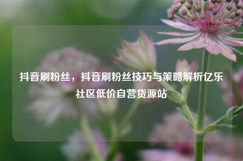 抖音刷粉丝，抖音刷粉丝技巧与策略解析亿乐社区低价自营货源站  第1张