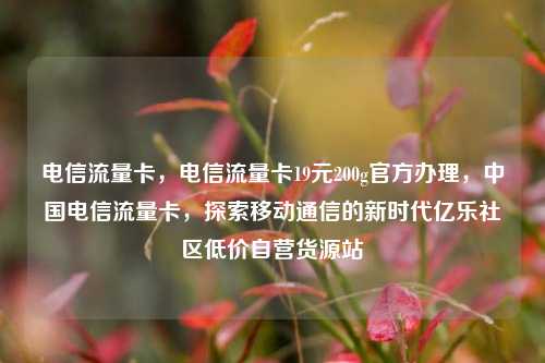 电信流量卡，电信流量卡19元200g官方办理	，中国电信流量卡，探索移动通信的新时代亿乐社区低价自营货源站  第1张