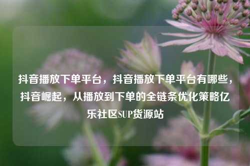 抖音播放下单平台，抖音播放下单平台有哪些	，抖音崛起，从播放到下单的全链条优化策略亿乐社区SUP货源站  第1张