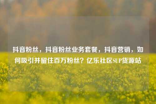 抖音粉丝，抖音粉丝业务套餐，抖音营销	，如何吸引并留住百万粉丝？亿乐社区SUP货源站  第1张